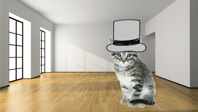 Cat Image