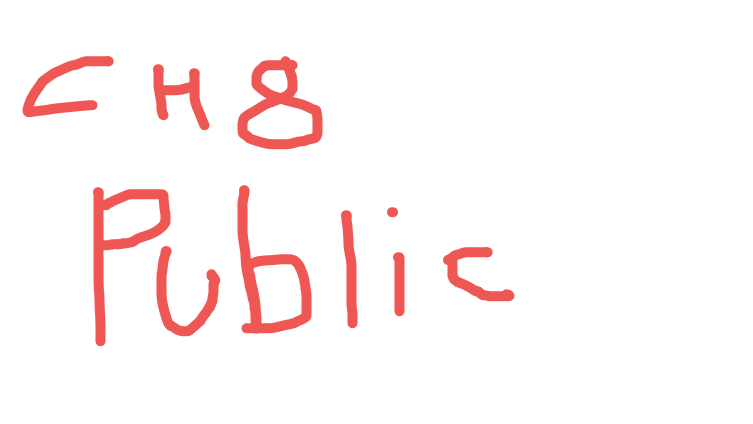CH8 public image