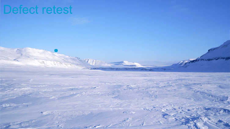 defect retest