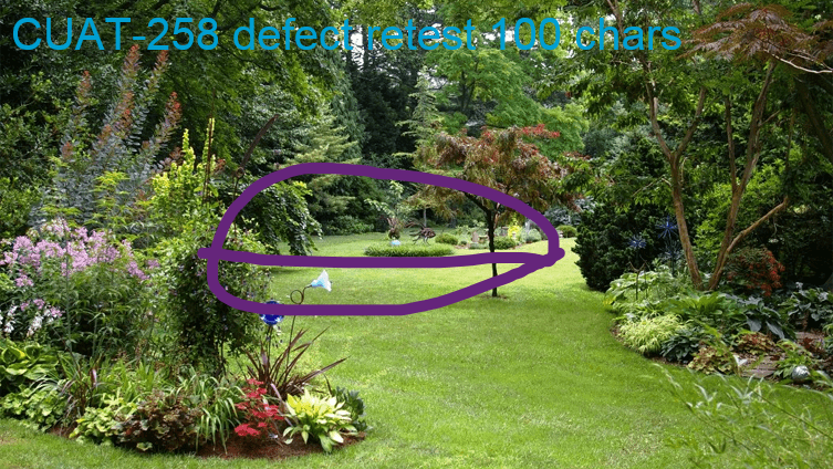 cuat-258 defect retest